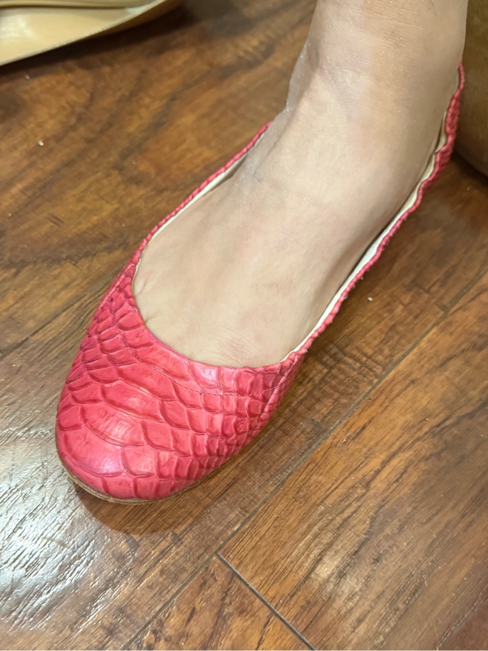 Giuseppe Zanotti Snake Leather Flats 10 1/2